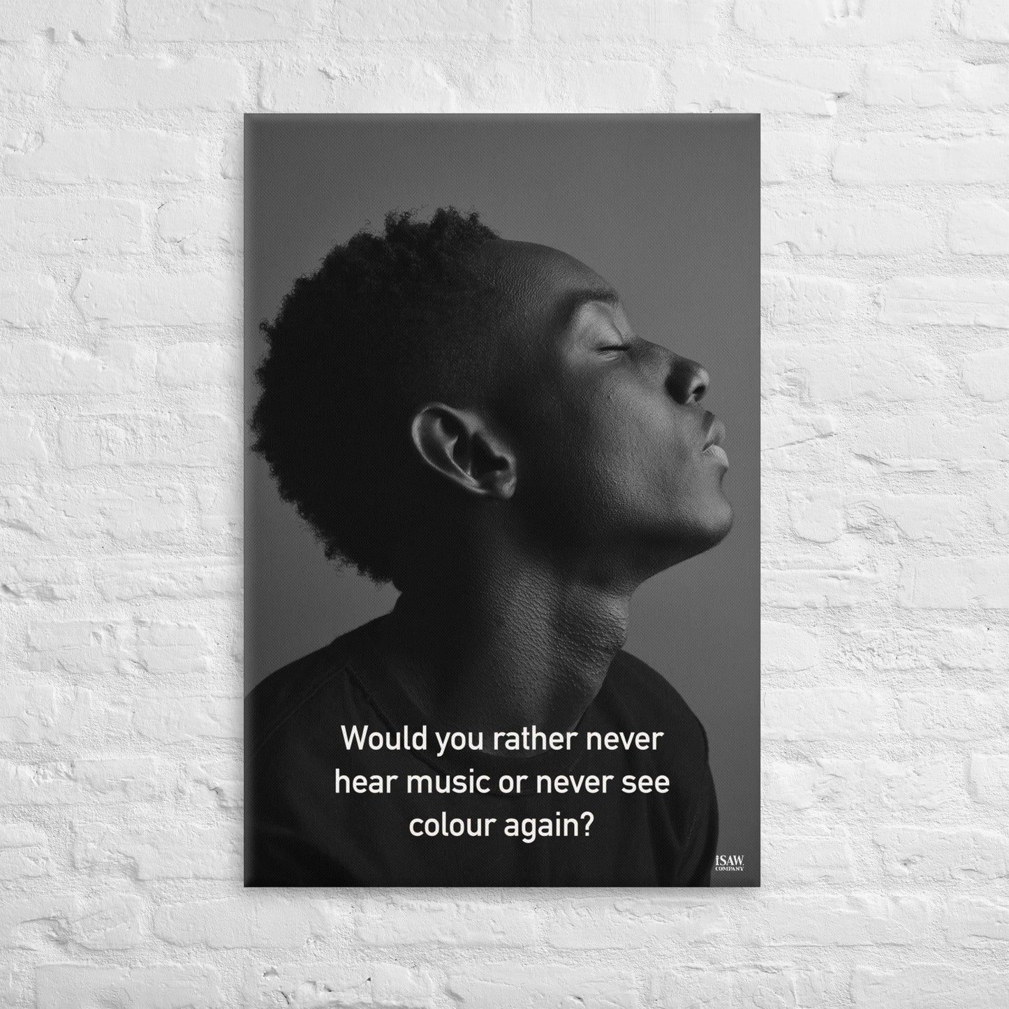 Never Hear Music or Never See Colour - Canvas Print - iSAW Company