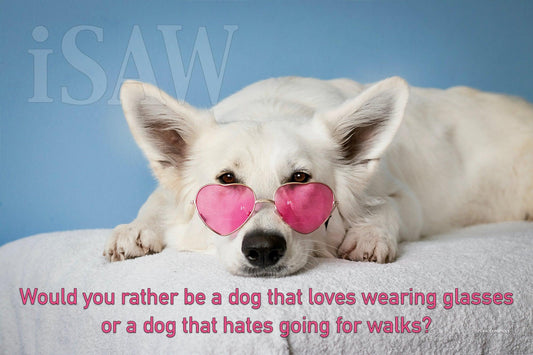 A Dog That Loves Glasses Or Hates Going For Walks - iSAW Company