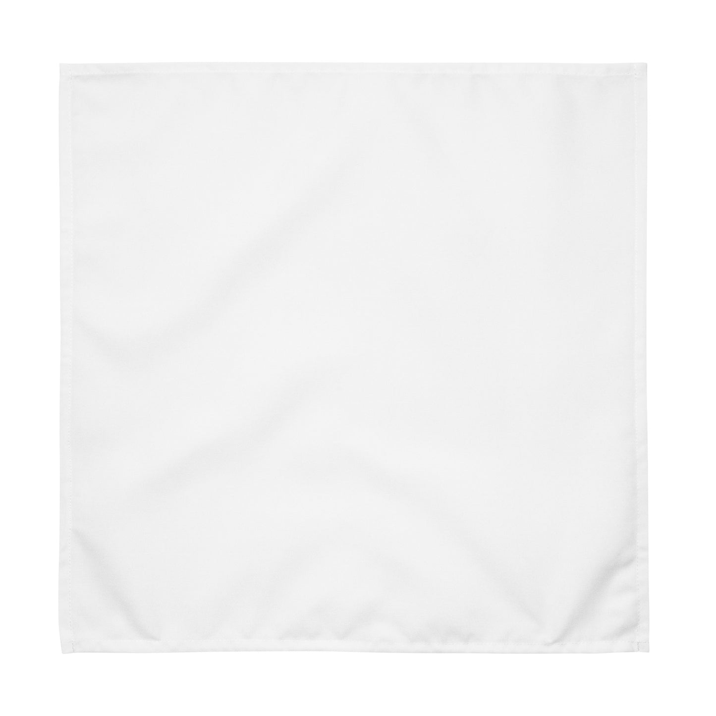 iSAW White Cloth Napkin Set - iSAW Company