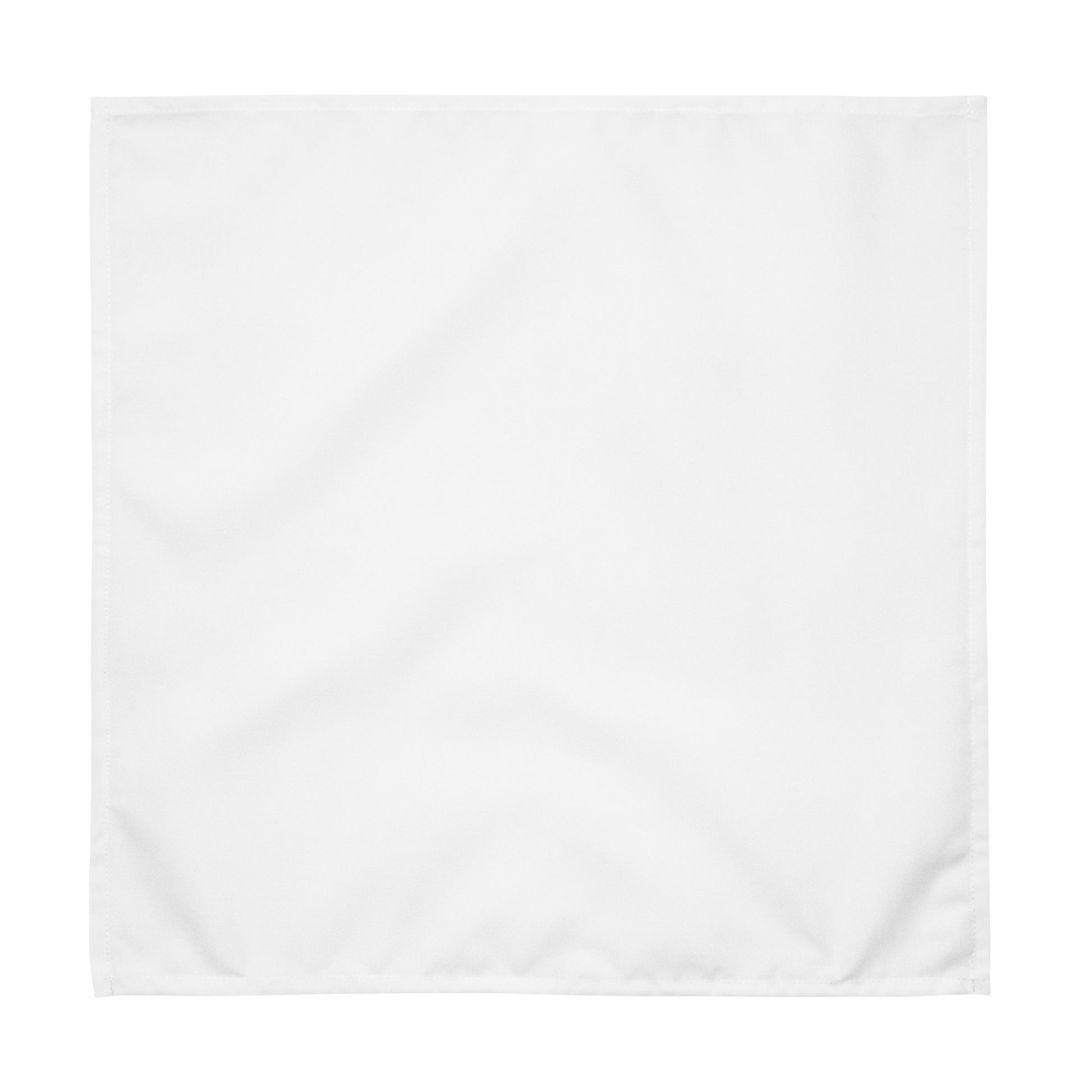 iSAW White Cloth Napkin Set - iSAW Company