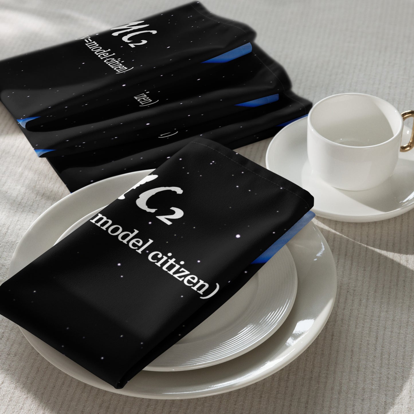 E=MC2 - Cloth Napkin Set - iSAW Company
