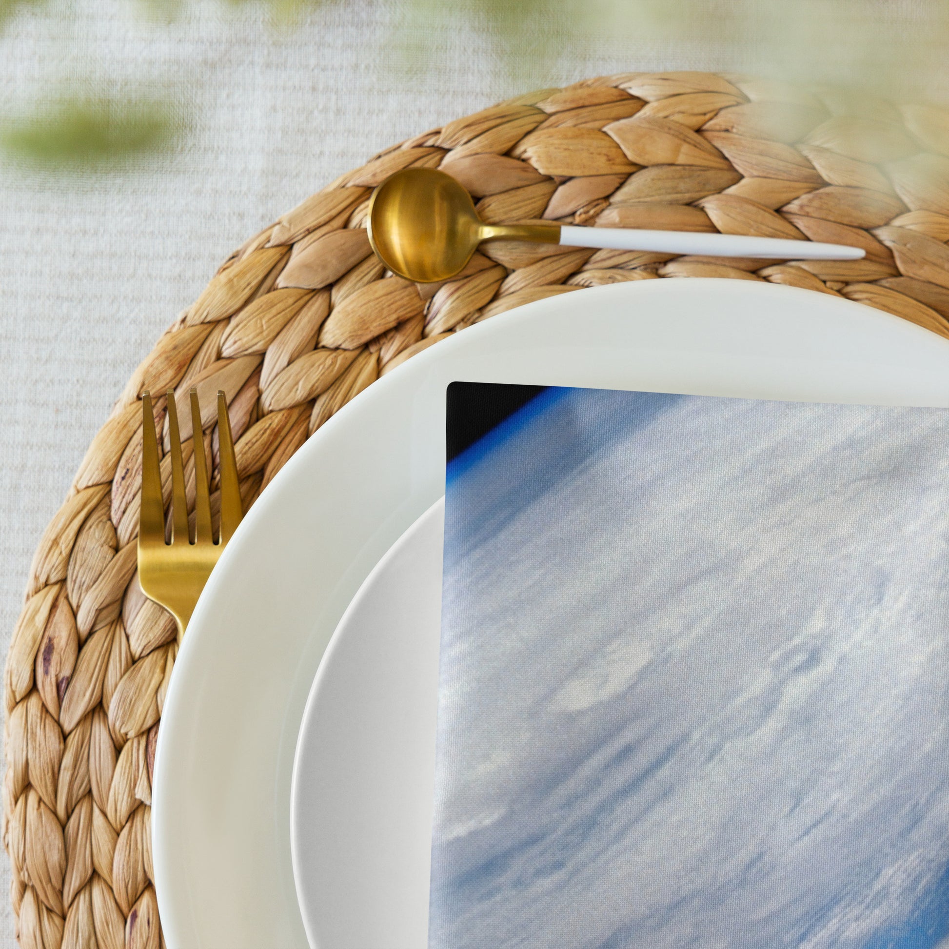 E=MC2 - Cloth Napkin Set - iSAW Company