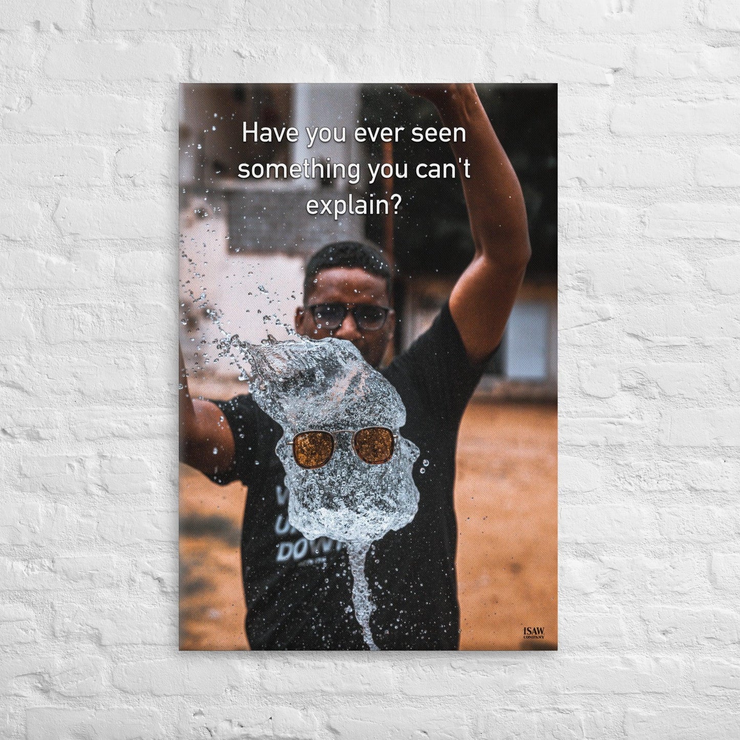 Have You Ever Seen Something You Can't Explain - Canvas Print - iSAW Company