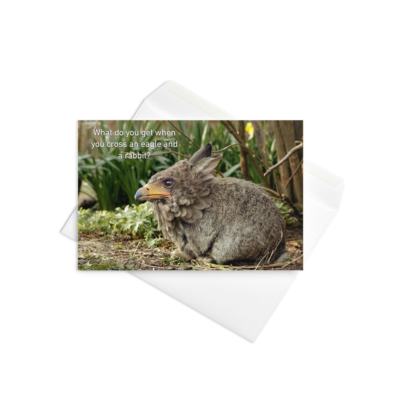 What Do You Get When You Cross An Eagle And A Rabbit - Note Card - iSAW Company