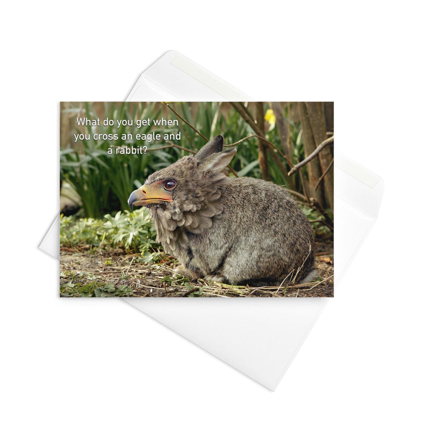 What Do You Get When You Cross An Eagle And A Rabbit - Note Card - iSAW Company